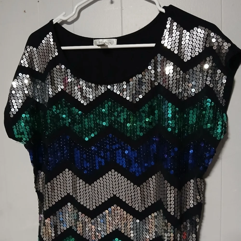Dressbarn brand women's beautiful sequin Pullover top. Size 1X - Picture 2 of 9